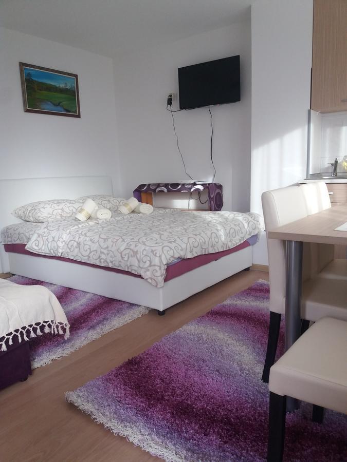 Apartment Bucic Zlatibor Rom bilde